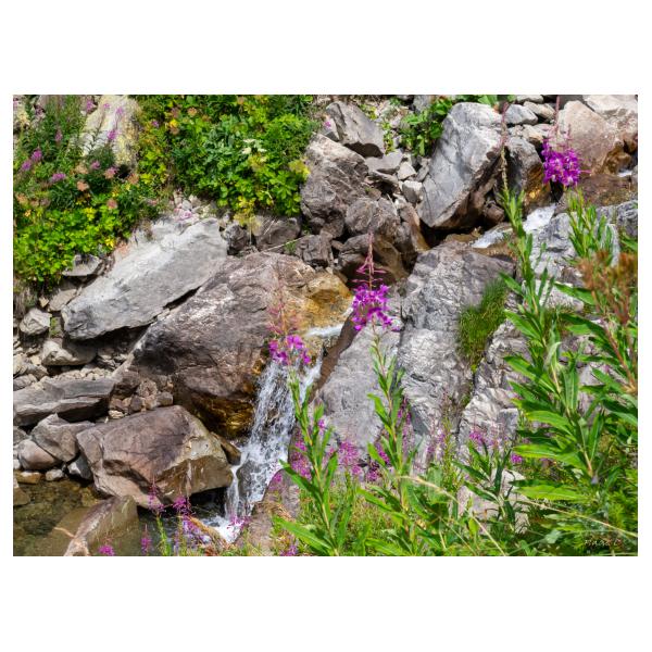 PHOTO84, CLUB, 84 , LUBERON